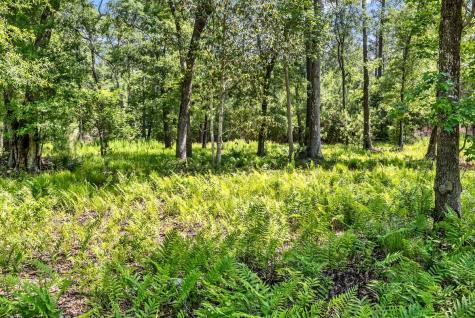 0 Allandale Plantation Road Wadmalaw Island SC 29487