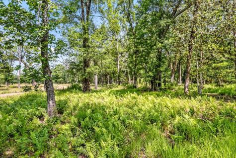 0 Allandale Plantation Road Wadmalaw Island SC 29487