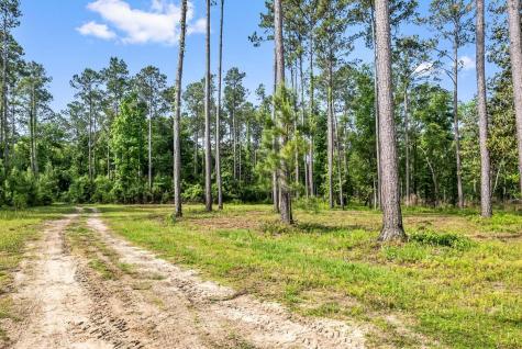 0 Allandale Plantation Road Wadmalaw Island SC 29487