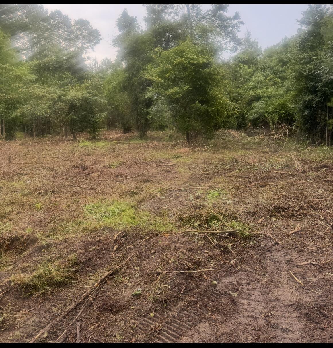 1 Abandon Lane Summerville SC 29486