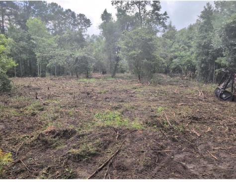1 Abandon Lane Summerville SC 29486
