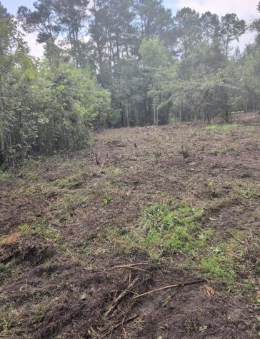 1 Abandon Lane Summerville SC 29486