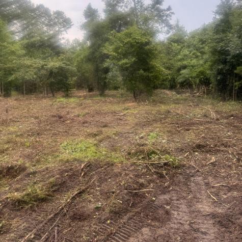 1 Abandon Lane Summerville SC 29486