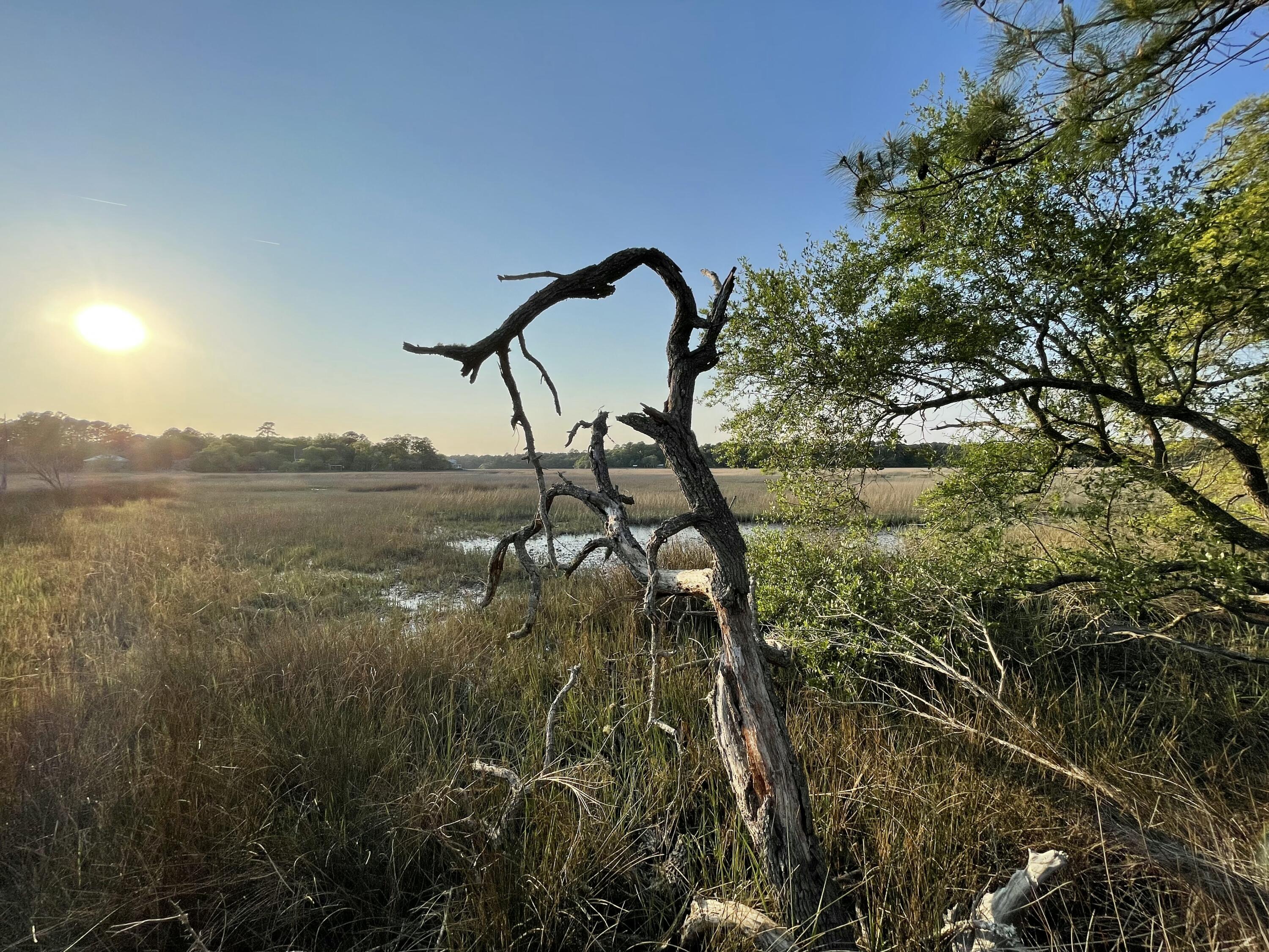 8468 Chisolm Plantation Road Edisto Island SC 29438