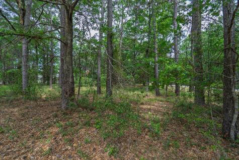 8468 Chisolm Plantation Road Edisto Island SC 29438