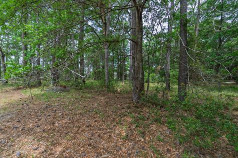 8468 Chisolm Plantation Road Edisto Island SC 29438