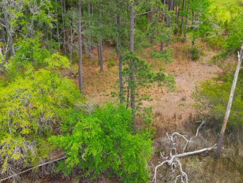 8468 Chisolm Plantation Road Edisto Island SC 29438