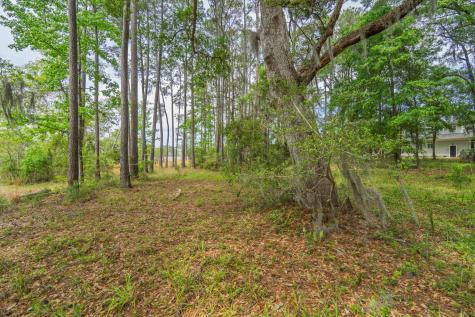 8468 Chisolm Plantation Road Edisto Island SC 29438