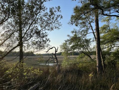 8468 Chisolm Plantation Road Edisto Island SC 29438