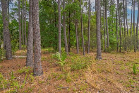 8468 Chisolm Plantation Road Edisto Island SC 29438