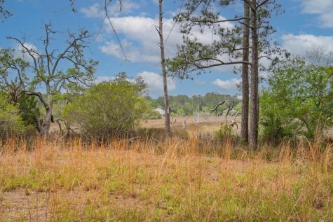 8468 Chisolm Plantation Road Edisto Island SC 29438