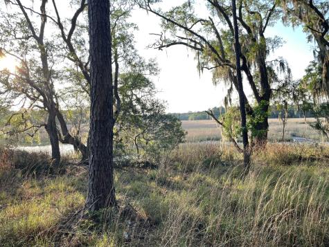 8468 Chisolm Plantation Road Edisto Island SC 29438