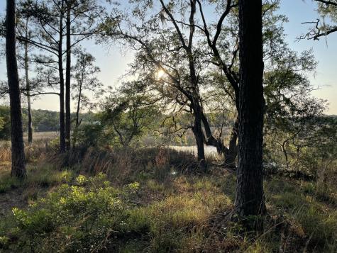 8468 Chisolm Plantation Road Edisto Island SC 29438