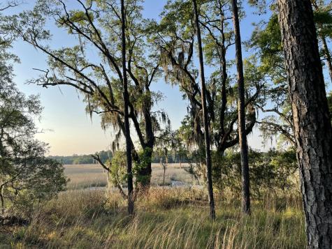 8468 Chisolm Plantation Road Edisto Island SC 29438