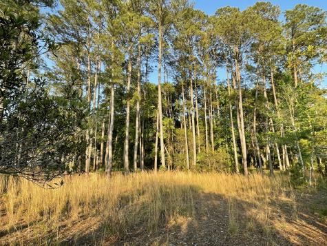 8468 Chisolm Plantation Road Edisto Island SC 29438