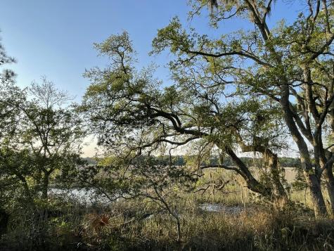 8468 Chisolm Plantation Road Edisto Island SC 29438