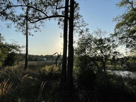 8468 Chisolm Plantation Road Edisto Island SC 29438