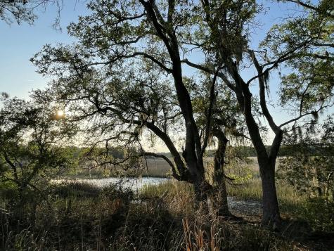 8468 Chisolm Plantation Road Edisto Island SC 29438