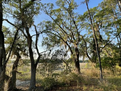 8468 Chisolm Plantation Road Edisto Island SC 29438