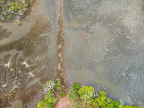 8468 Chisolm Plantation Road Edisto Island SC 29438