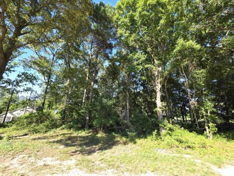 130 Green Court Santee SC 29142