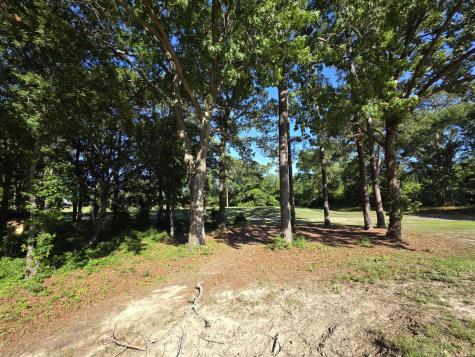 130 Green Court Santee SC 29142