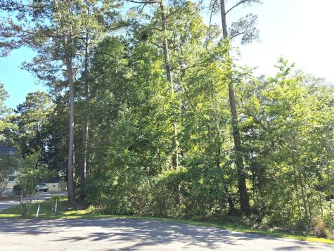 130 Green Court Santee SC 29142
