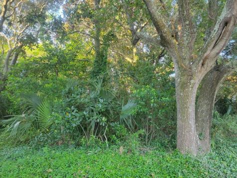 1217 E Ashley Avenue Folly Beach SC 29439