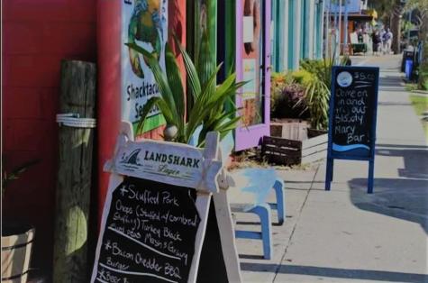 1217 E Ashley Avenue Folly Beach SC 29439