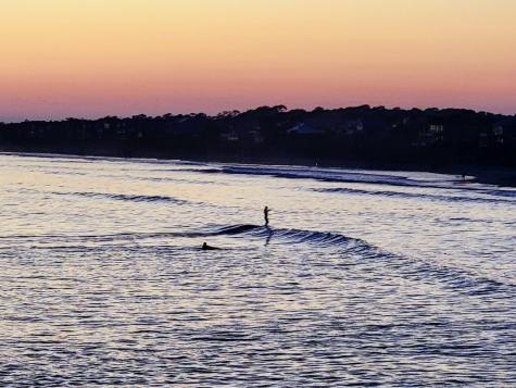 1217 E Ashley Avenue Folly Beach SC 29439