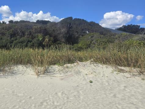 1217 E Ashley Avenue Folly Beach SC 29439