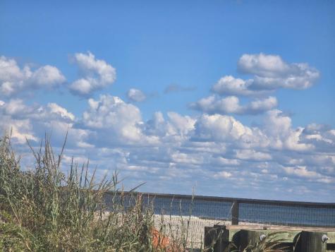 1217 E Ashley Avenue Folly Beach SC 29439