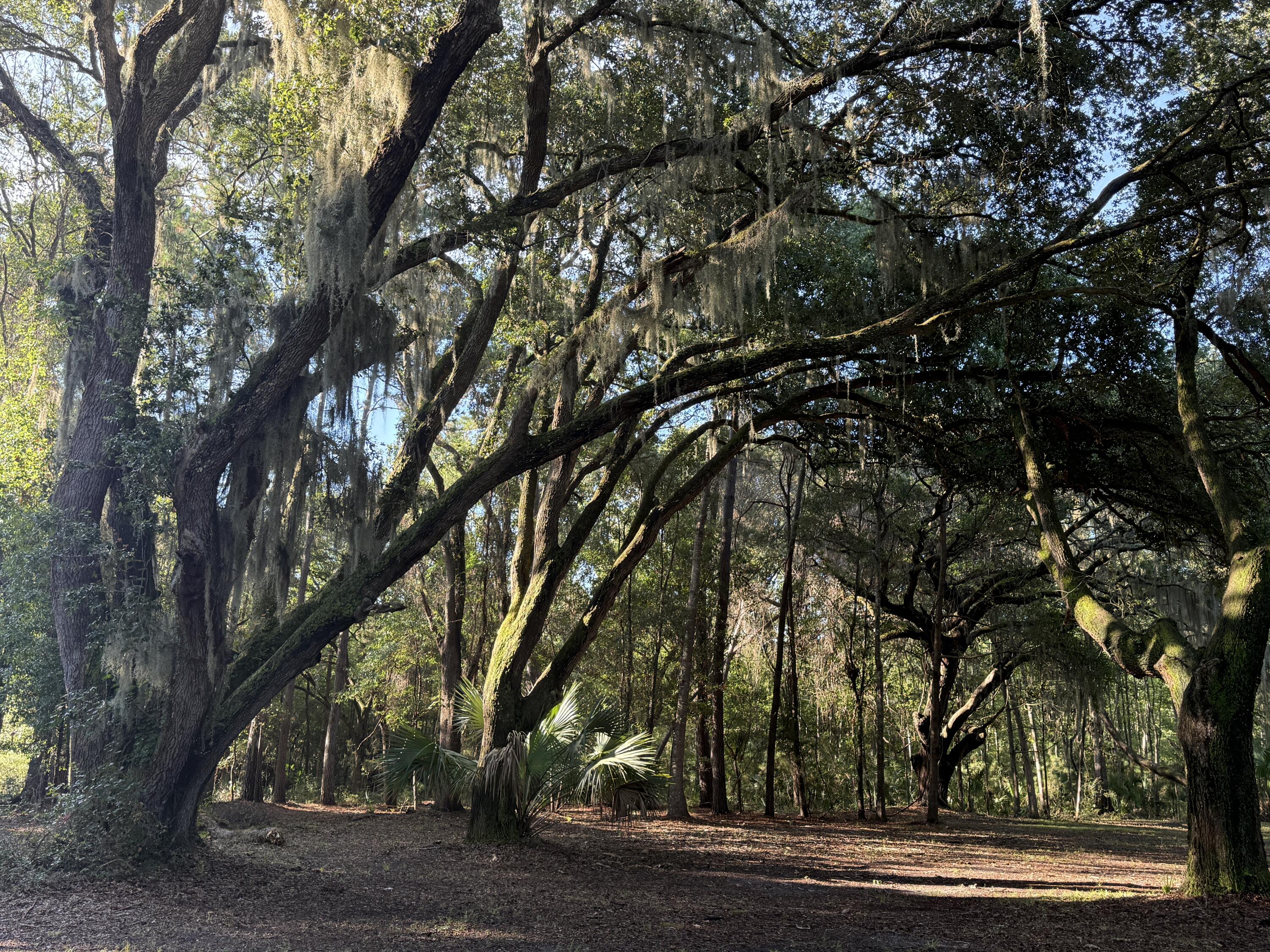 7939 Legare Road Edisto Island SC 29438