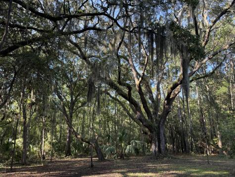 7939 Legare Road Edisto Island SC 29438