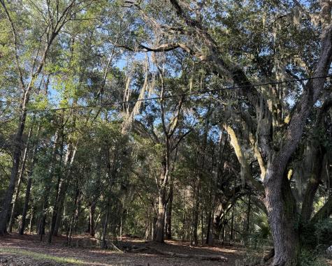 7939 Legare Road Edisto Island SC 29438