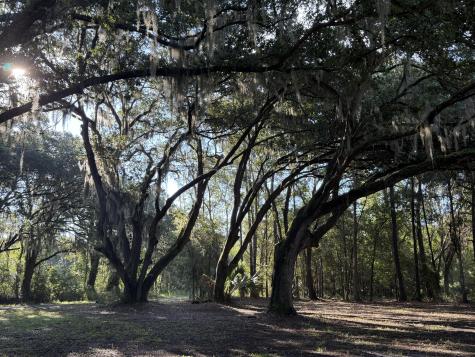 7939 Legare Road Edisto Island SC 29438