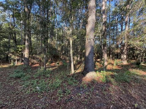 7939 Legare Road Edisto Island SC 29438