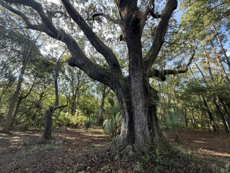 7939 Legare Road Edisto Island SC 29438