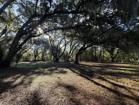 7939 Legare Road Edisto Island SC 29438