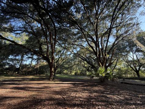 7939 Legare Road Edisto Island SC 29438