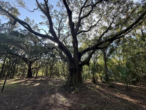 7939 Legare Road Edisto Island SC 29438