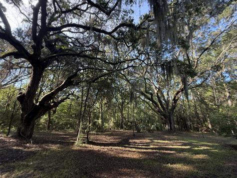7939 Legare Road Edisto Island SC 29438