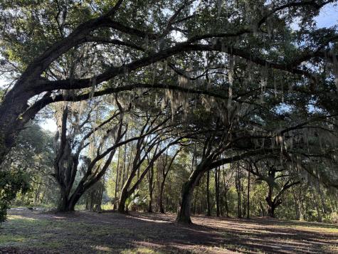 7939 Legare Road Edisto Island SC 29438