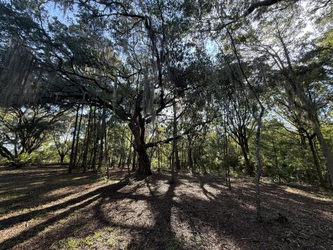 7939 Legare Road Edisto Island SC 29438