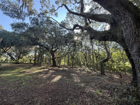 7939 Legare Road Edisto Island SC 29438