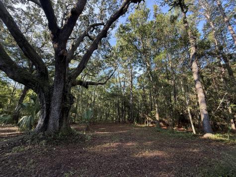 7939 Legare Road Edisto Island SC 29438