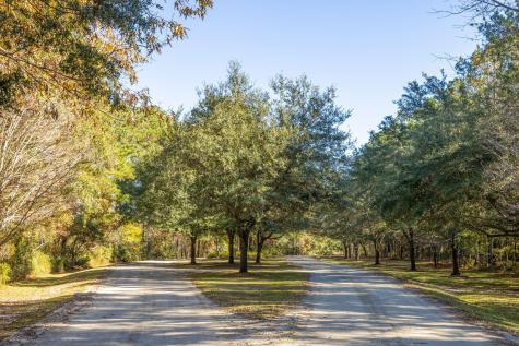 0 Polly Point Road Wadmalaw Island SC 29487
