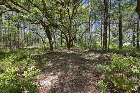 7767 Chaplin Garden Lane Edisto Island SC 29438