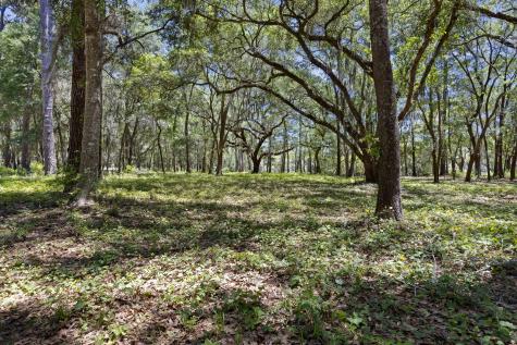 7767 Chaplin Garden Lane Edisto Island SC 29438