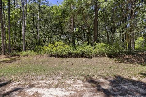 7767 Chaplin Garden Lane Edisto Island SC 29438